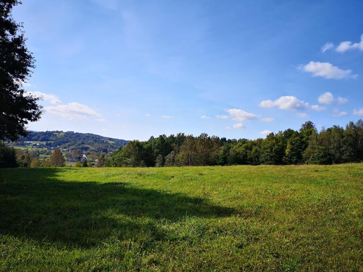 Zamek Ostrowski Villa Chojnik Bagian luar foto
